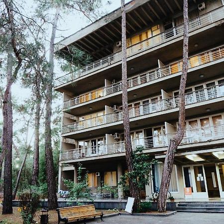 Gosdacha Ldzaa Hotel Lidzava Eksteriør billede