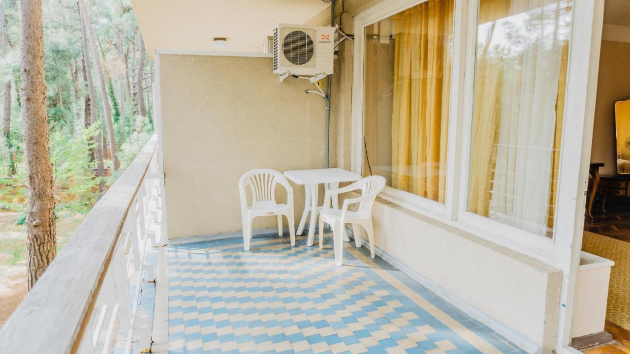 Gosdacha Ldzaa Hotel Lidzava Eksteriør billede